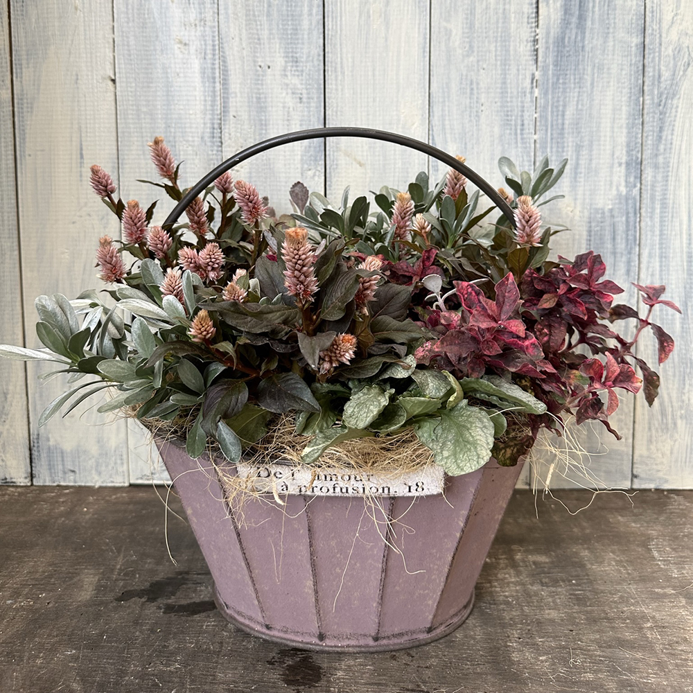 暮らしに彩りを 季節を楽しむ"寄せ植え”講座 - 画像 (4)