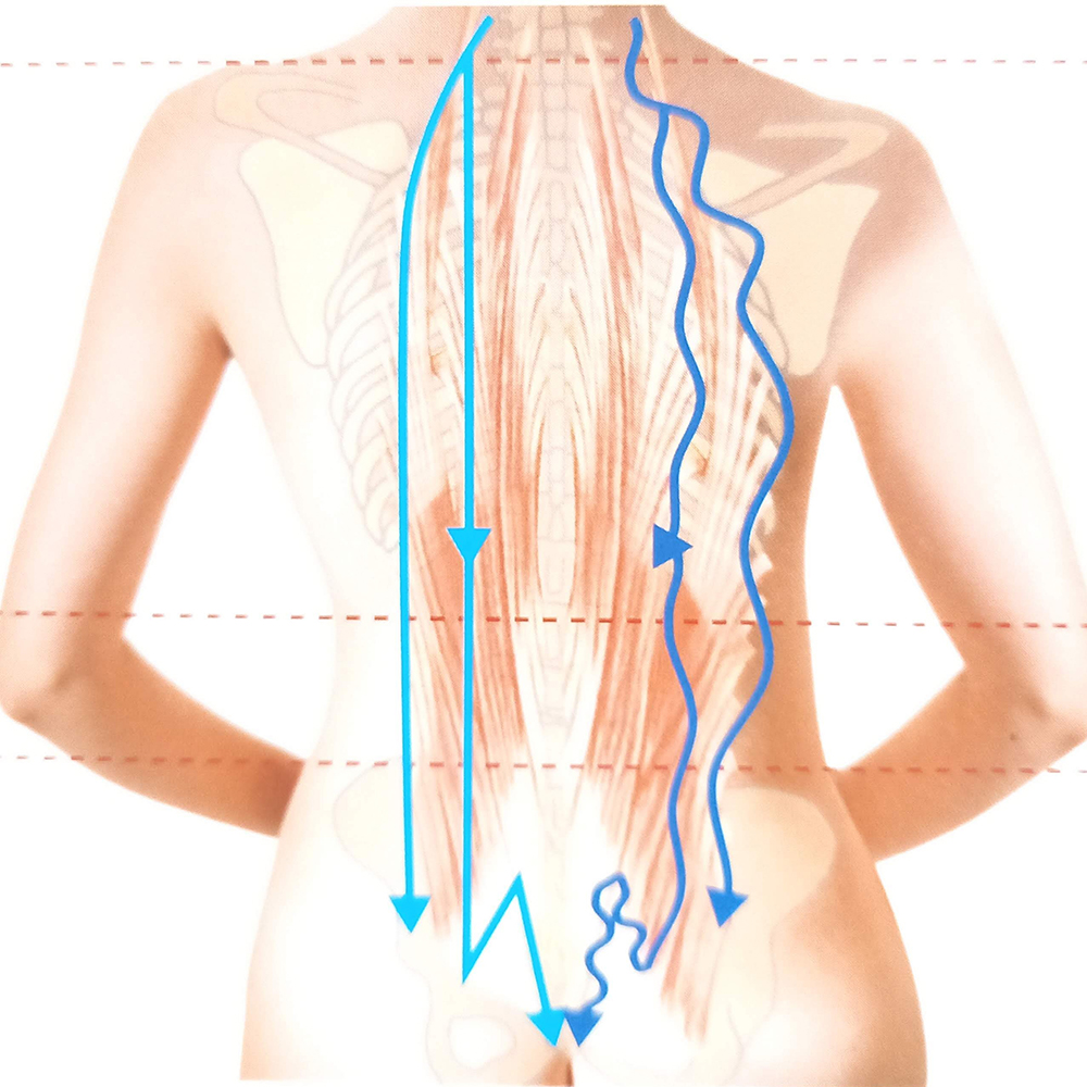 内側から健やかに 巡りを整える‟経路リンパケア” - 画像 (3)